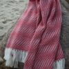 Laine pleed punane