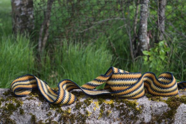 Võrkvöö