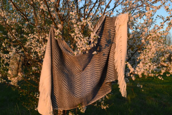 Laine pleed hallist siniseni - Image 2